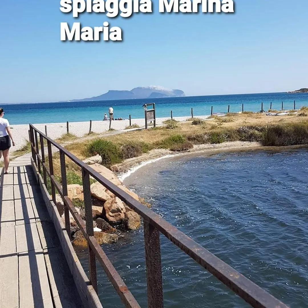 Flamingo 9 - Olbia - Localita 默塔玛丽亚 意大利