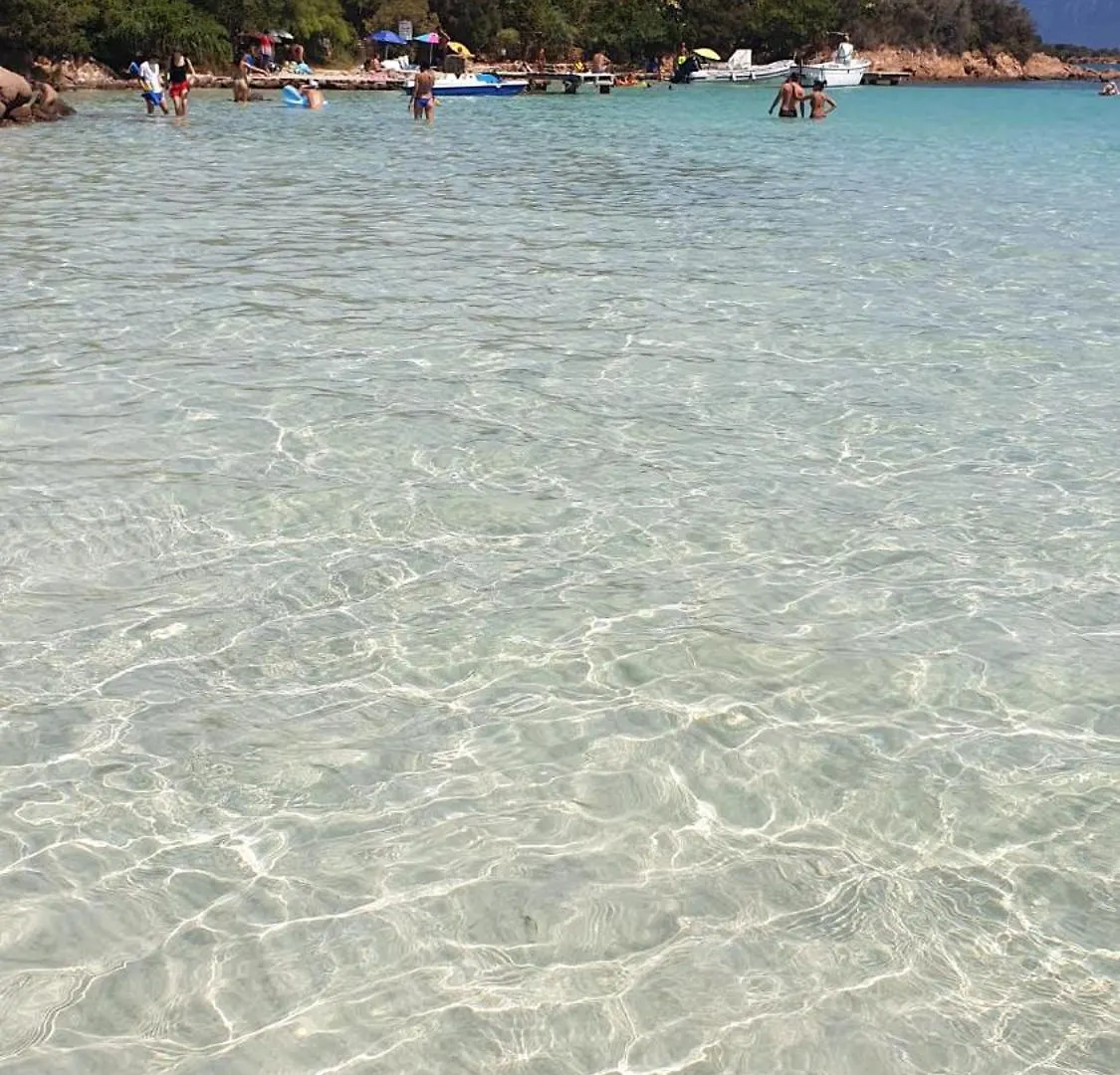 公寓 Flamingo 9 - Olbia - Localita 默塔玛丽亚