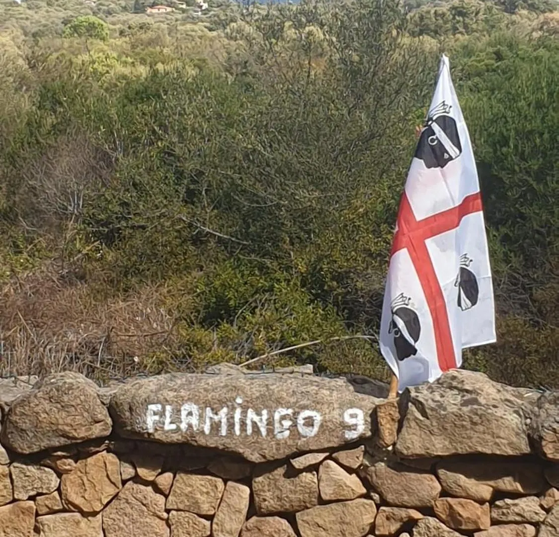 Flamingo 9 - Olbia - Localita Murta Maria